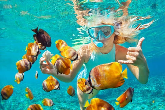 Colour Coral Fishes in Sri Lanka